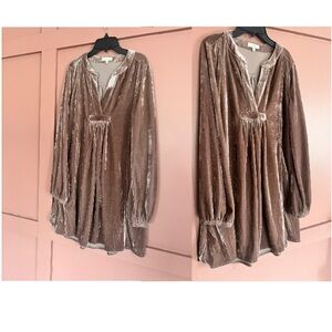 Easel Velvet Brown Dress